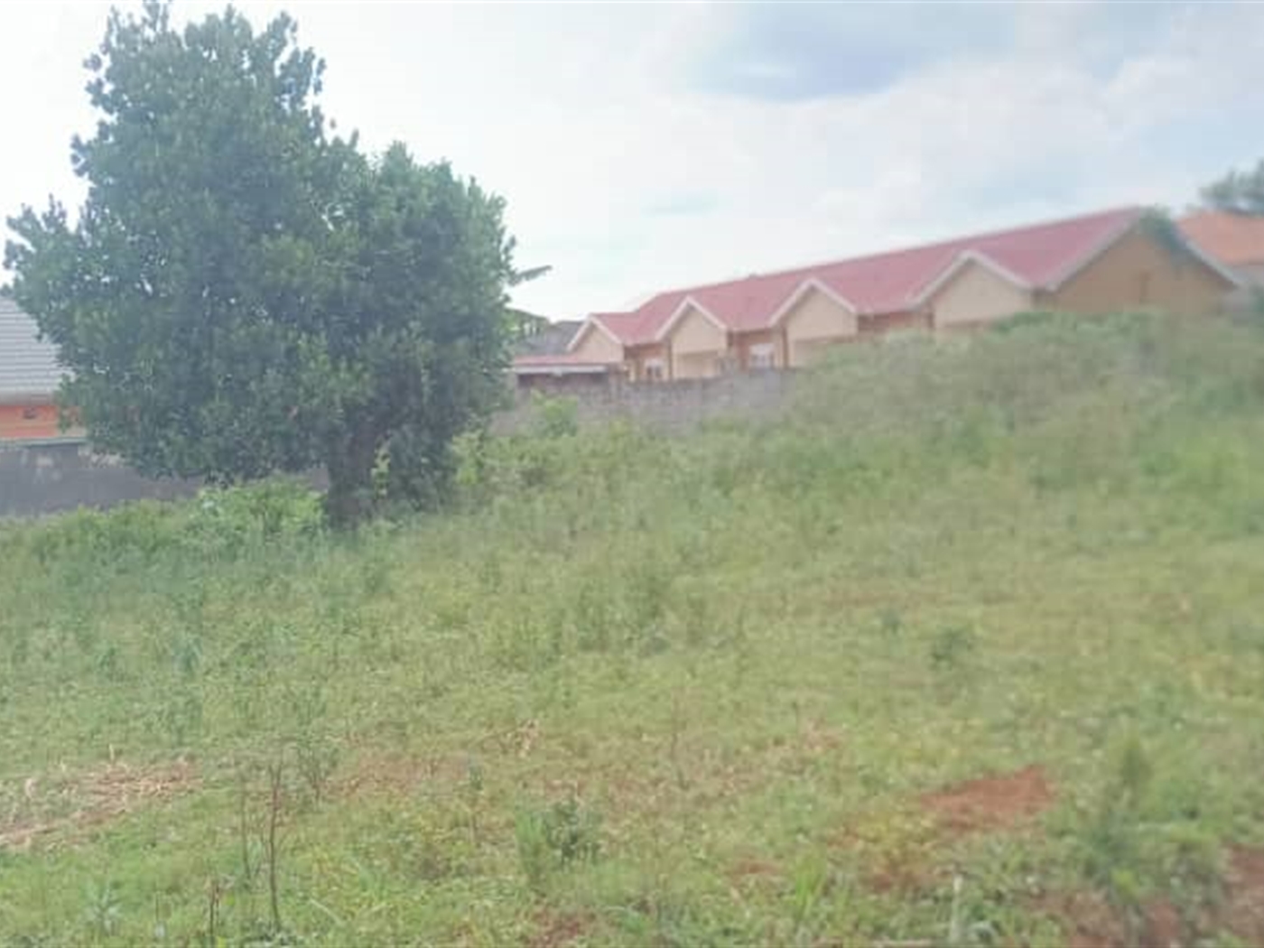 Residential Land for sale in Kiwenda Wakiso