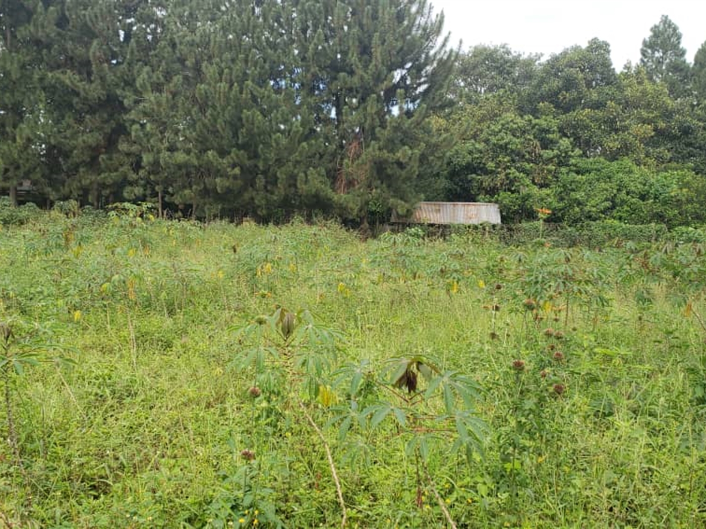 Residential Land for sale in Garuga Wakiso