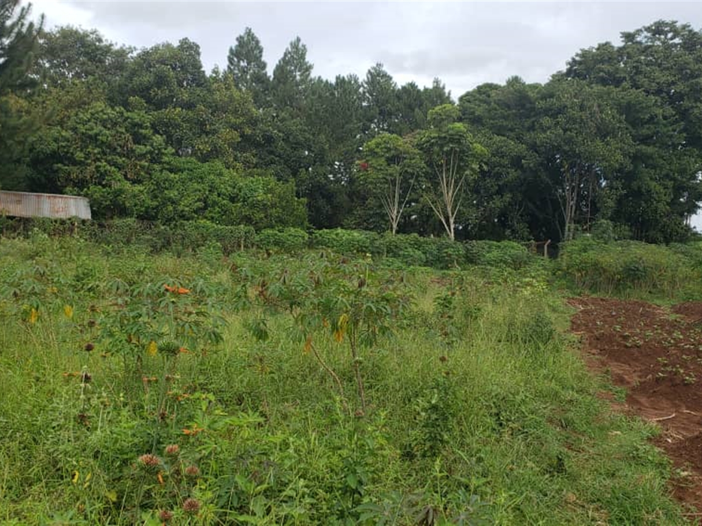 Residential Land for sale in Garuga Wakiso