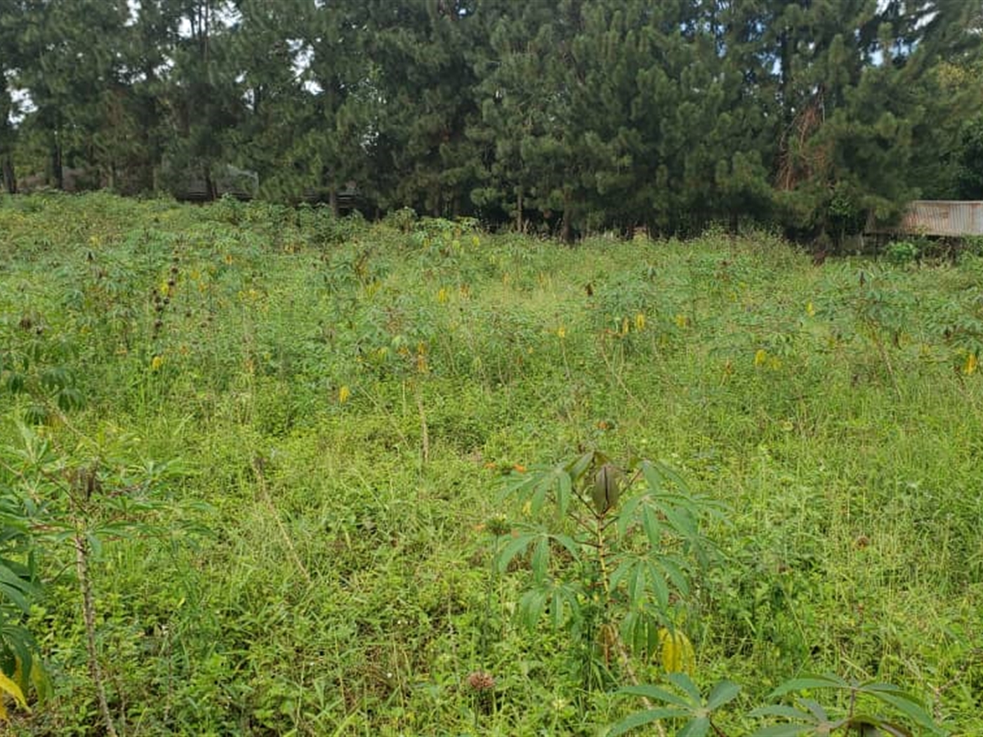 Residential Land for sale in Garuga Wakiso