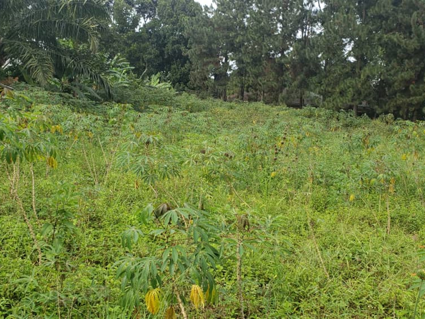 Residential Land for sale in Garuga Wakiso