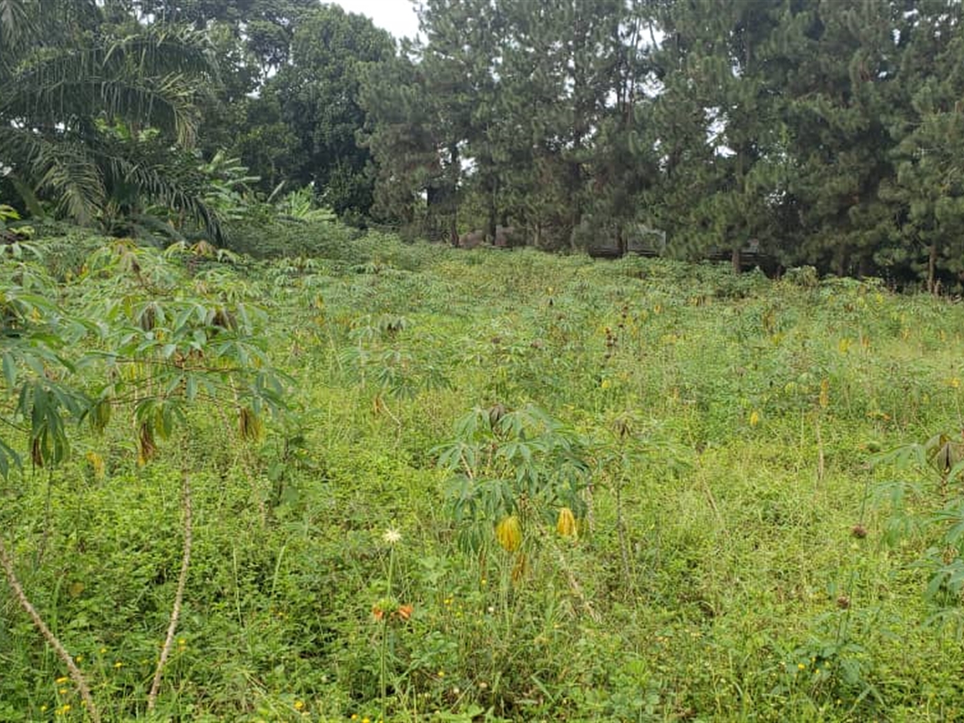 Residential Land for sale in Garuga Wakiso