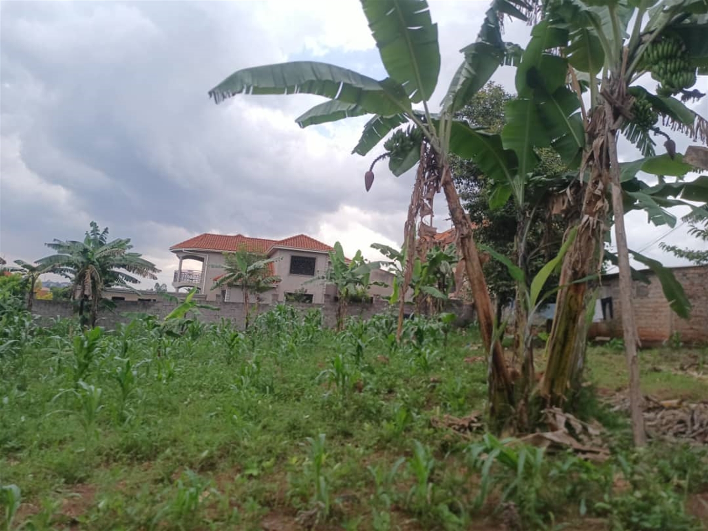 Residential Land for sale in Namugongo Wakiso