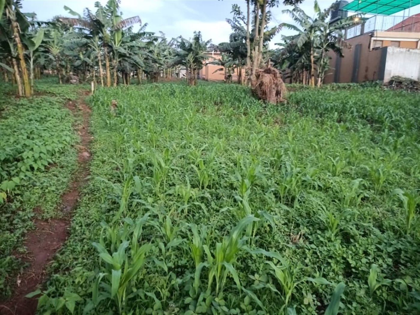 Residential Land for sale in Kitendemaazi Wakiso