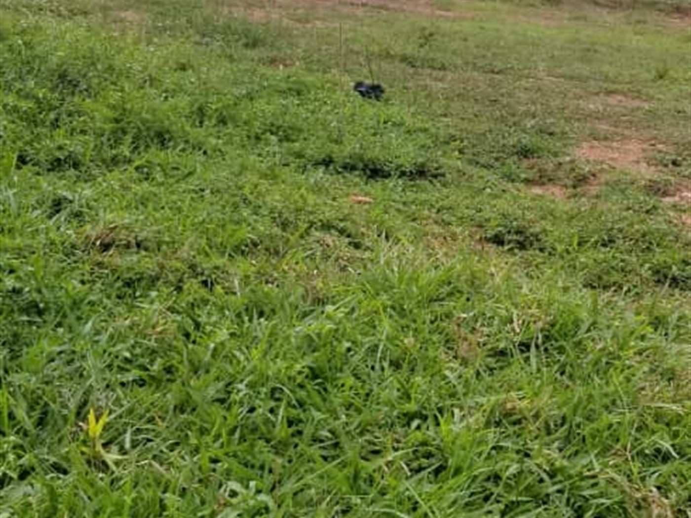 Residential Land for sale in Komamboga Wakiso