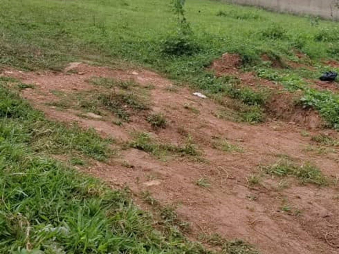 Residential Land for sale in Komamboga Wakiso