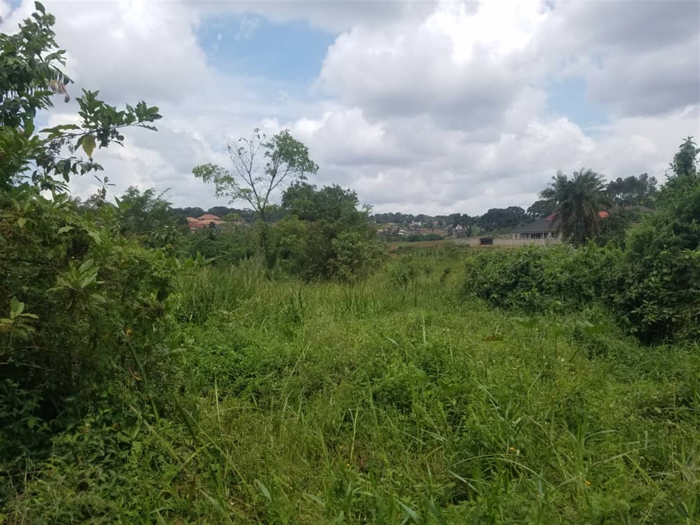 Residential Land for sale in Kasangati Wakiso