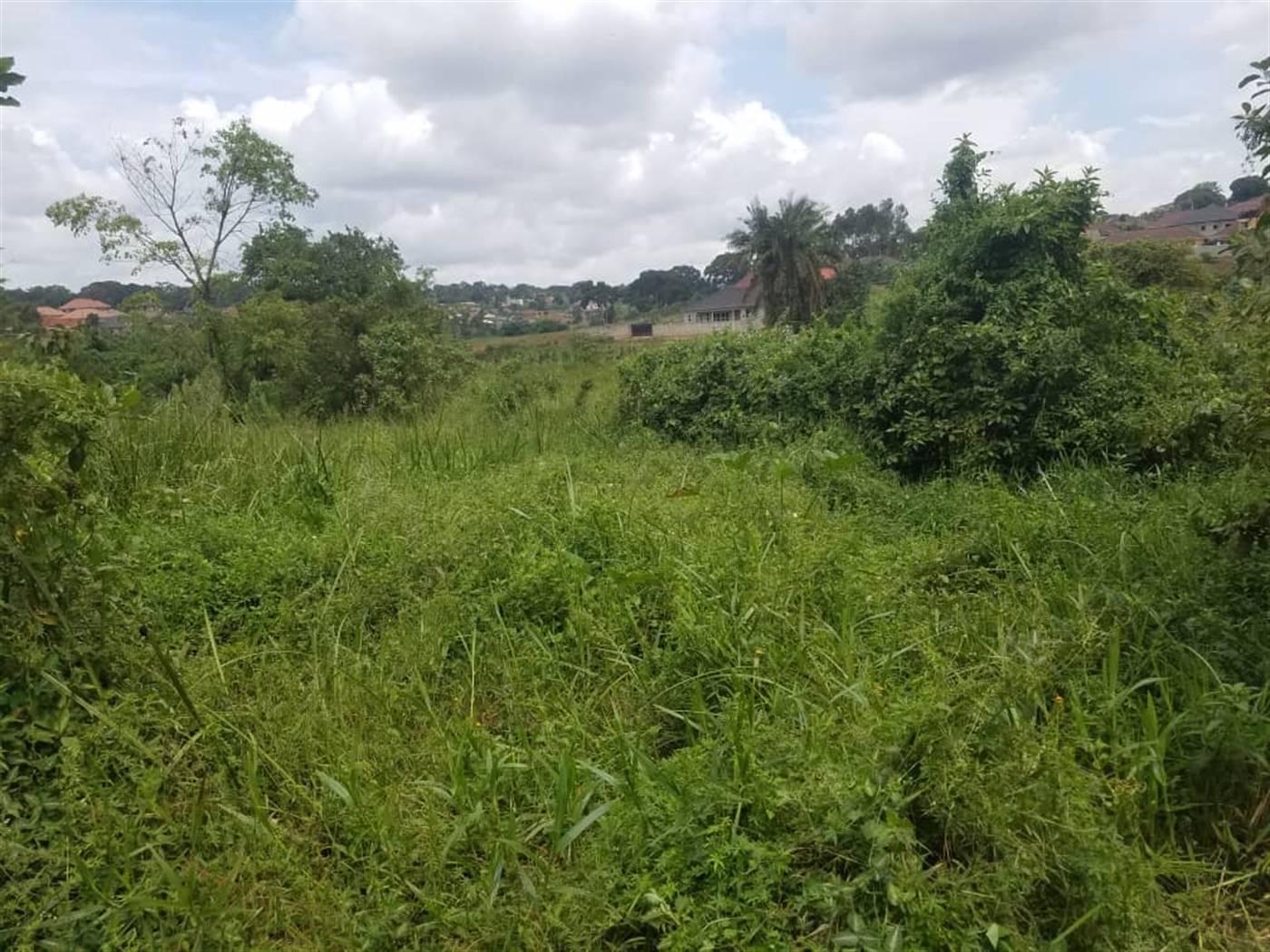 Residential Land for sale in Kasangati Wakiso