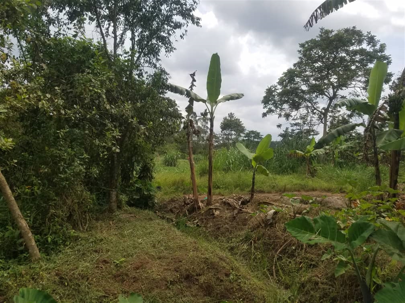 Residential Land for sale in Kasangati Wakiso