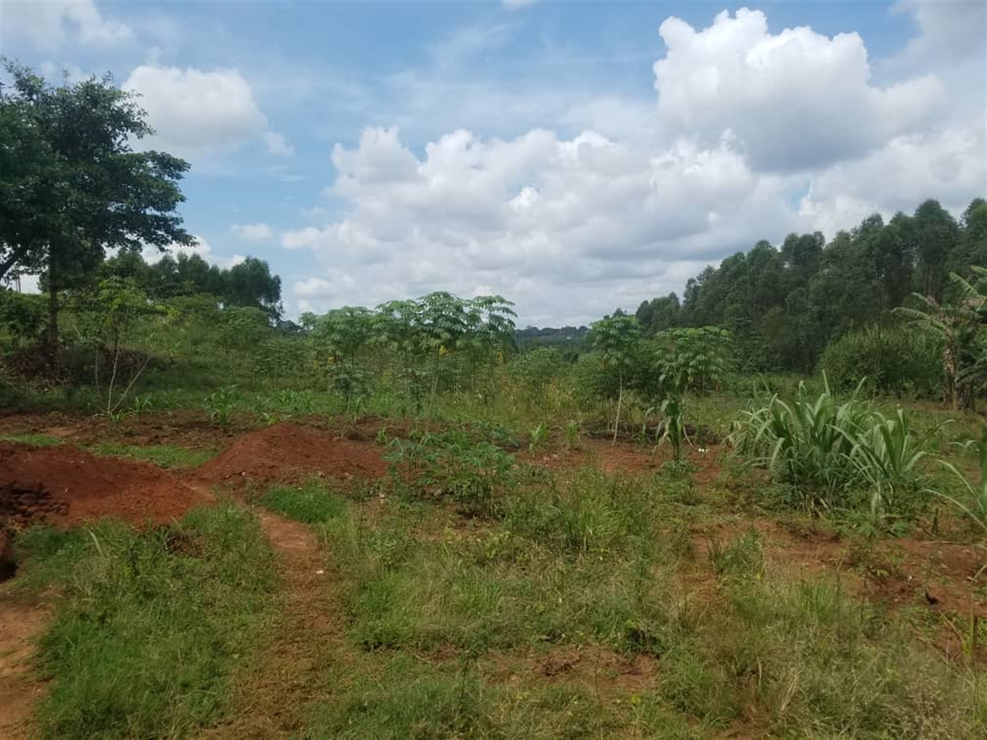 Residential Land for sale in Kasangati Wakiso