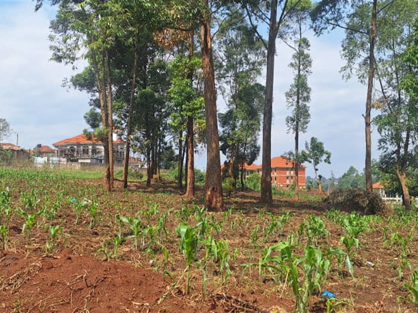 Residential Land for sale in Najjerabuwate Wakiso