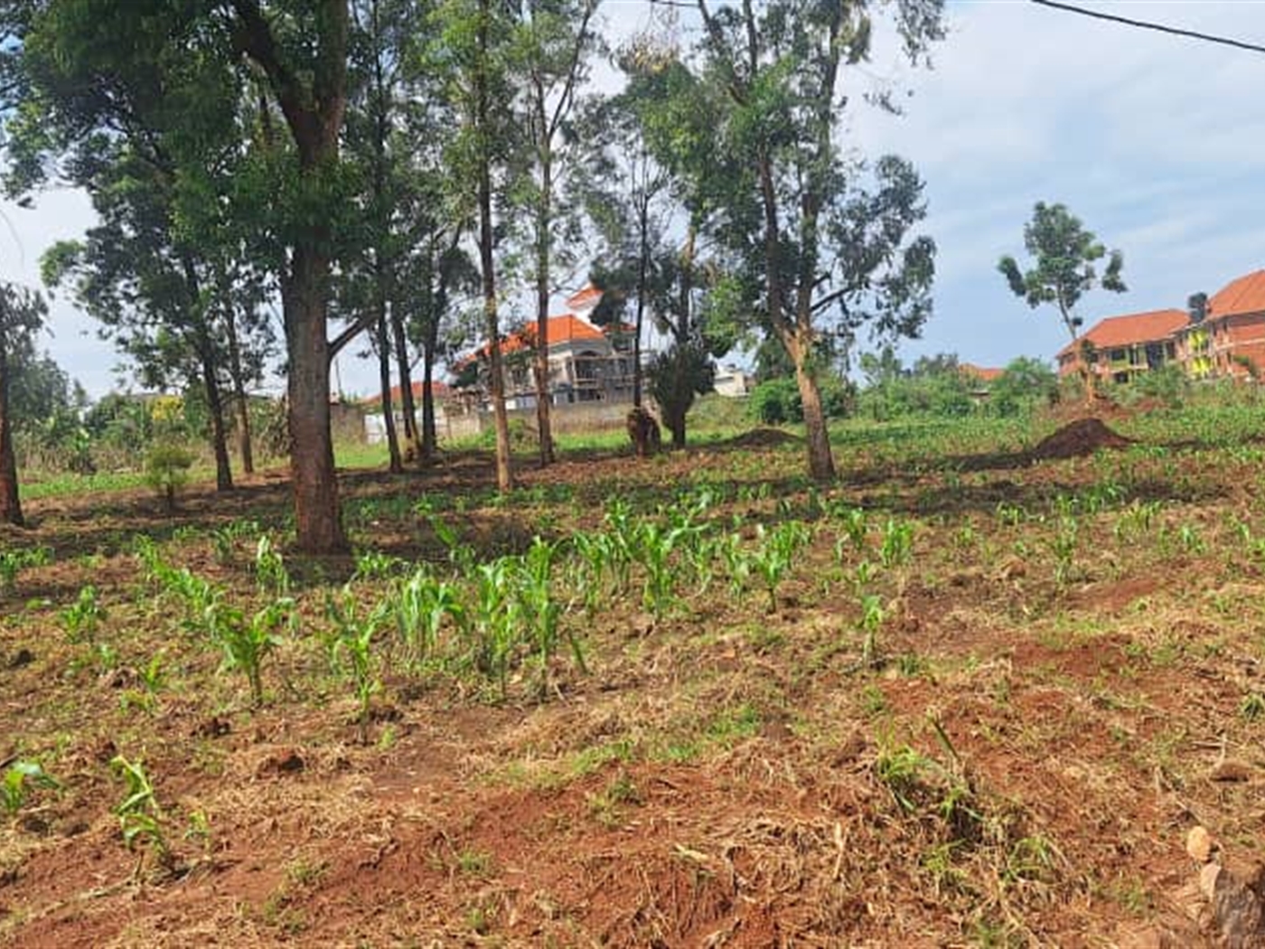 Residential Land for sale in Najjerabuwate Wakiso