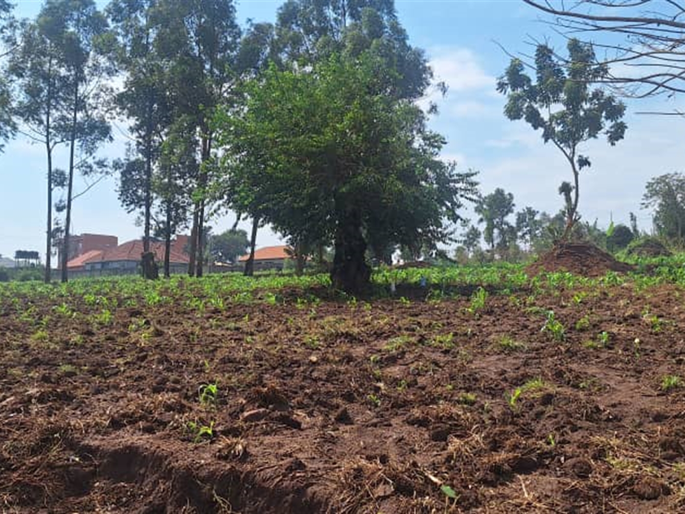 Residential Land for sale in Najjerabuwate Wakiso