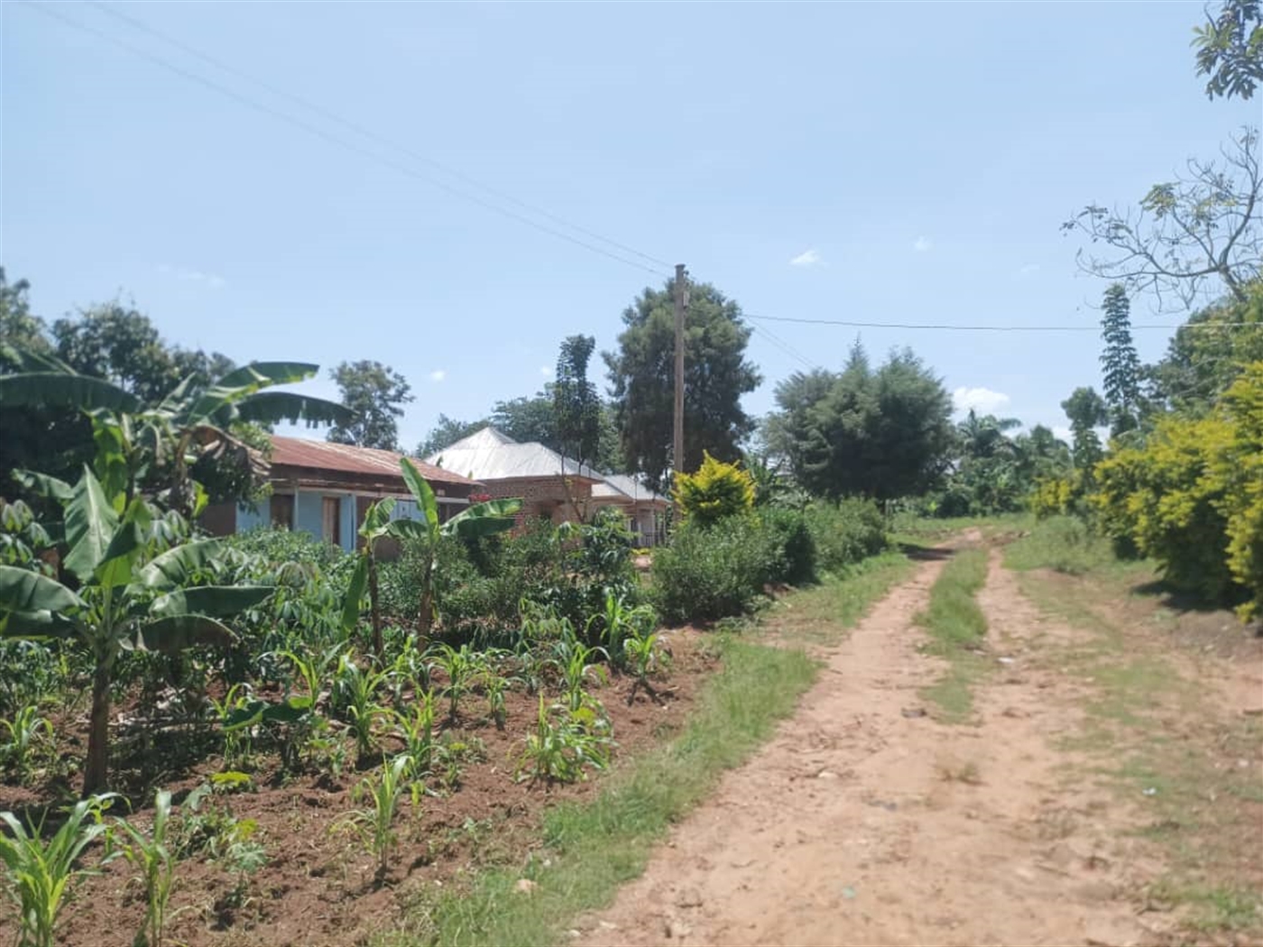 Residential Land for sale in Busukuma Wakiso