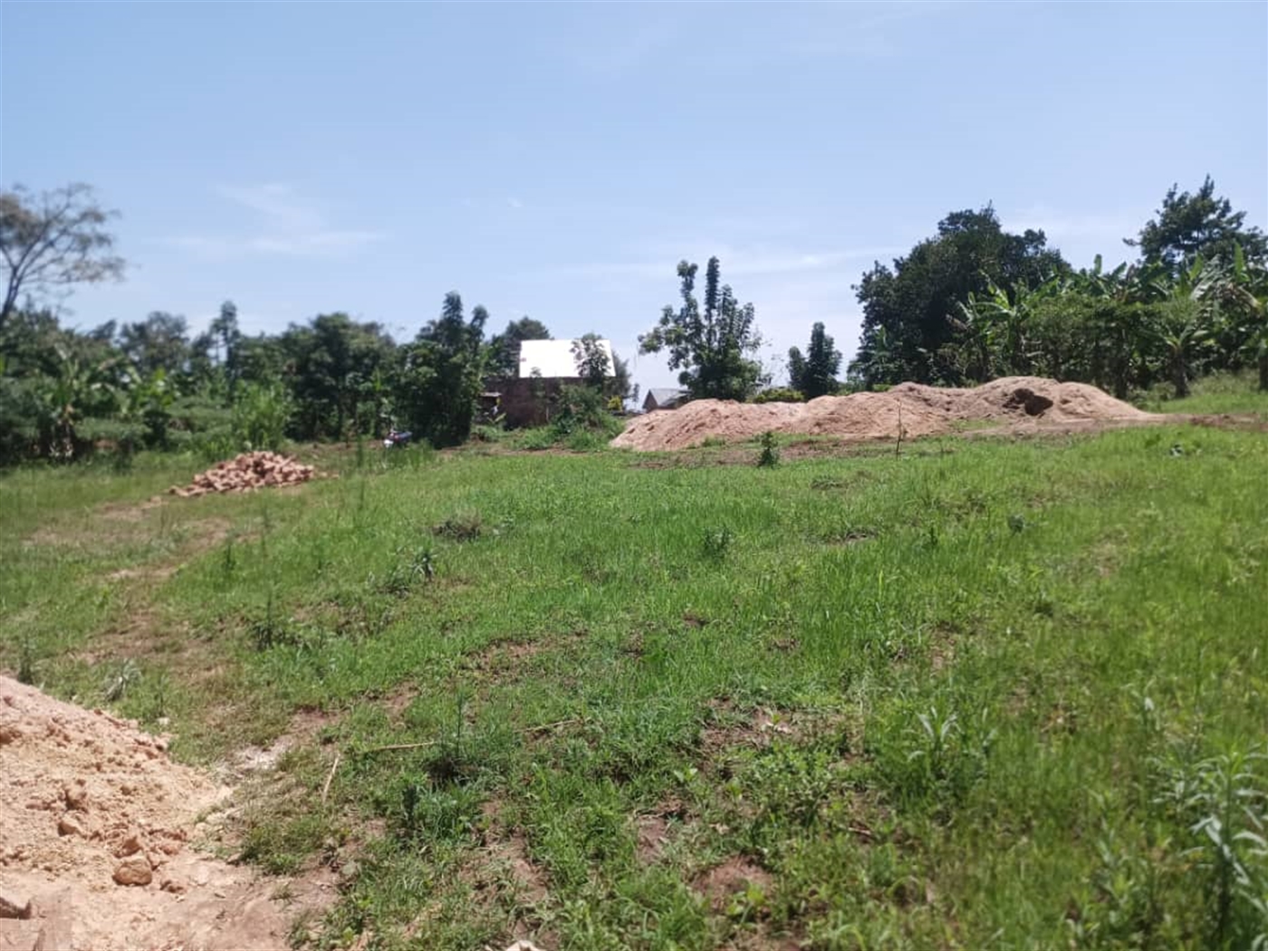 Residential Land for sale in Busukuma Wakiso