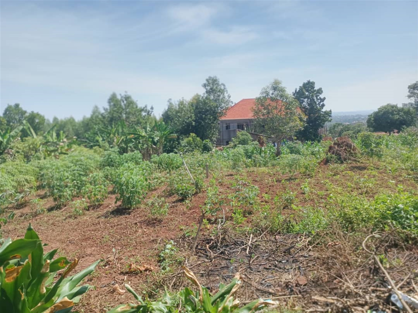 Residential Land for sale in Busukuma Wakiso