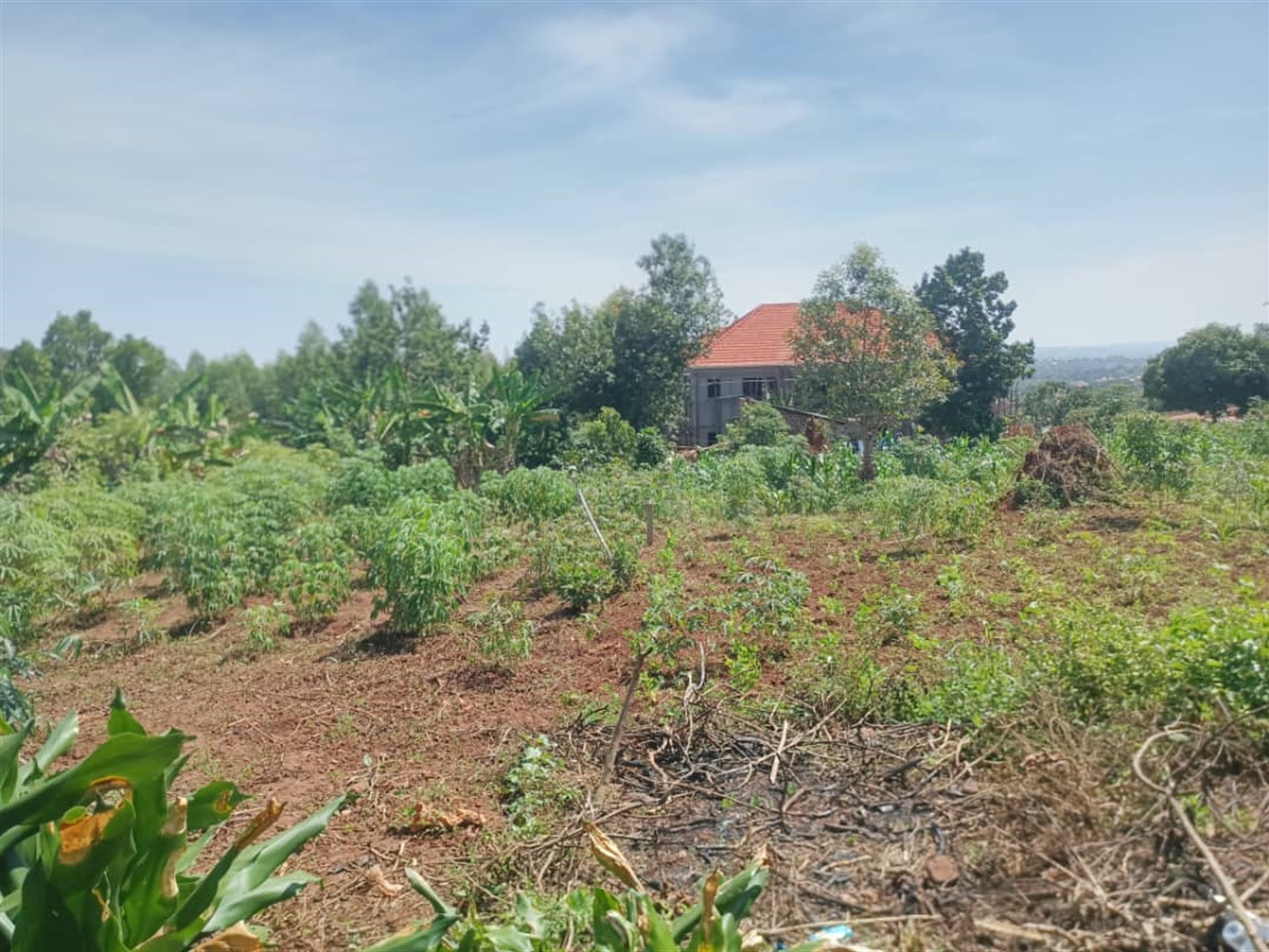 Residential Land for sale in Busukuma Wakiso