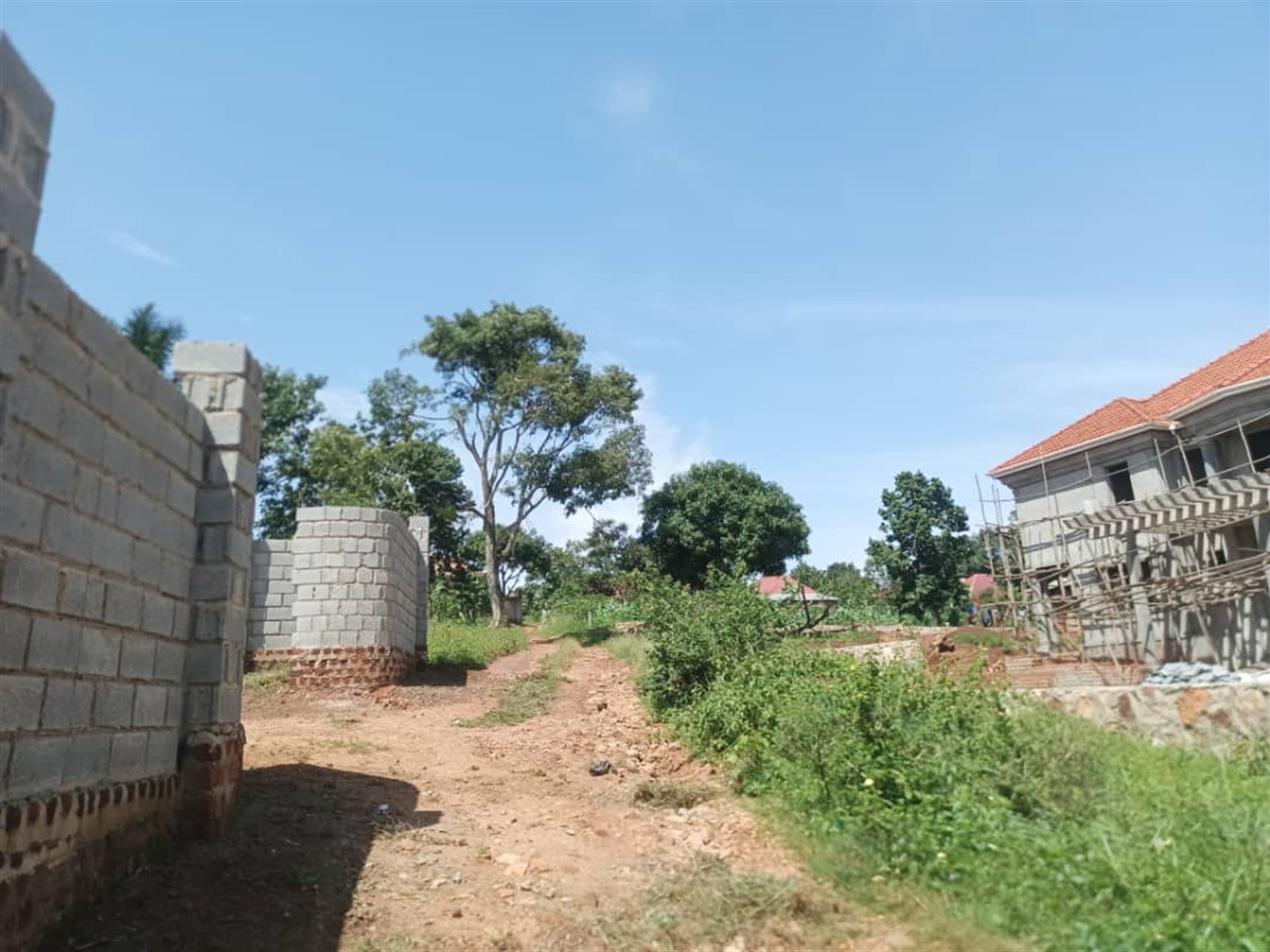 Residential Land for sale in Busukuma Wakiso