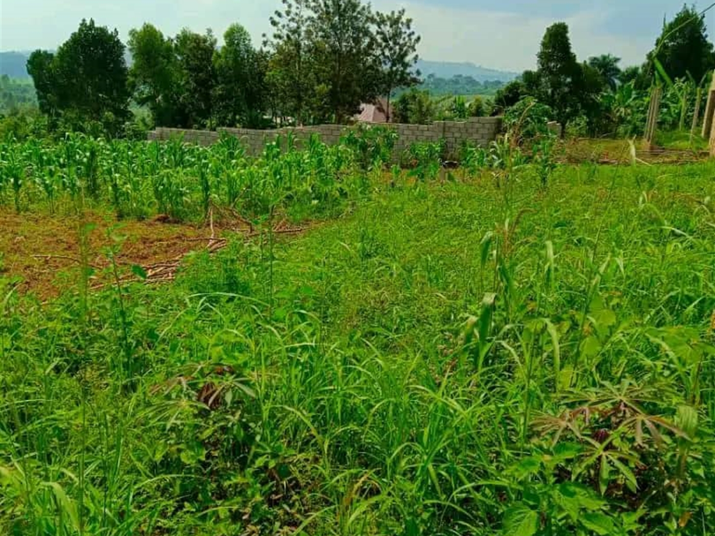 Residential Land for sale in Kitende Wakiso