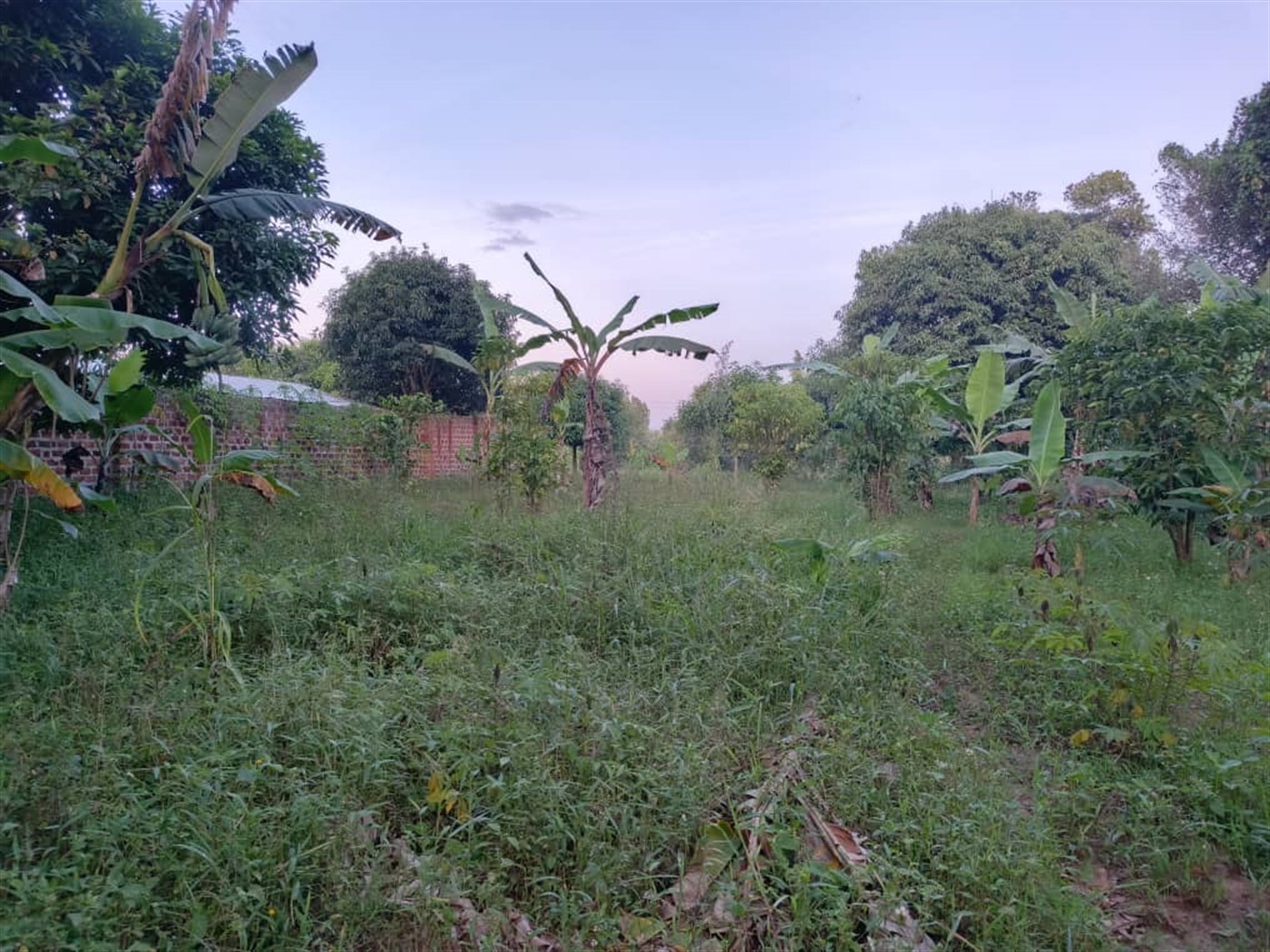 Residential Land for sale in Matugga Wakiso