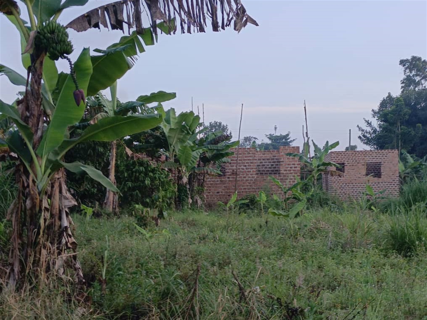 Residential Land for sale in Matugga Wakiso