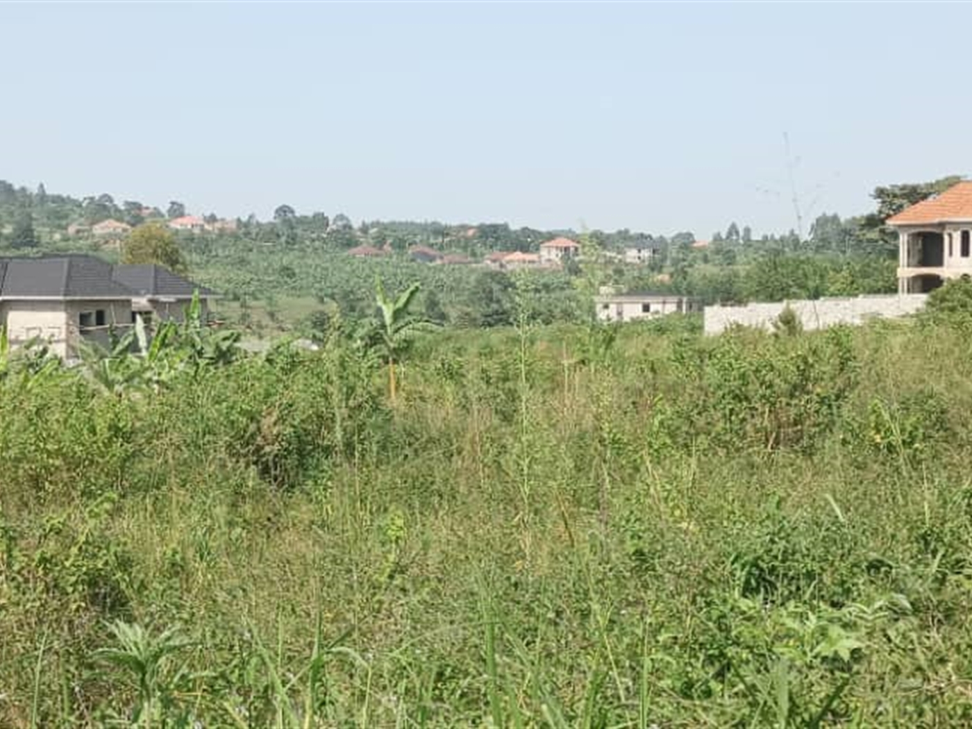 Residential Land For Sale In Busukuma Wakiso Uganda Code