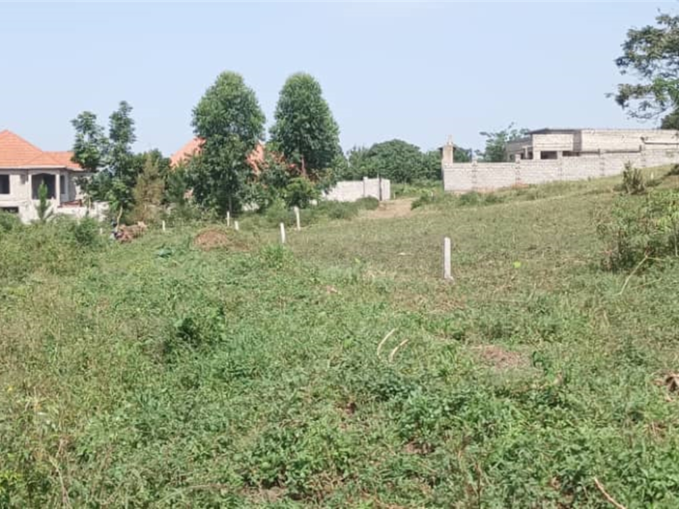 Residential Land for sale in Busukuma Wakiso