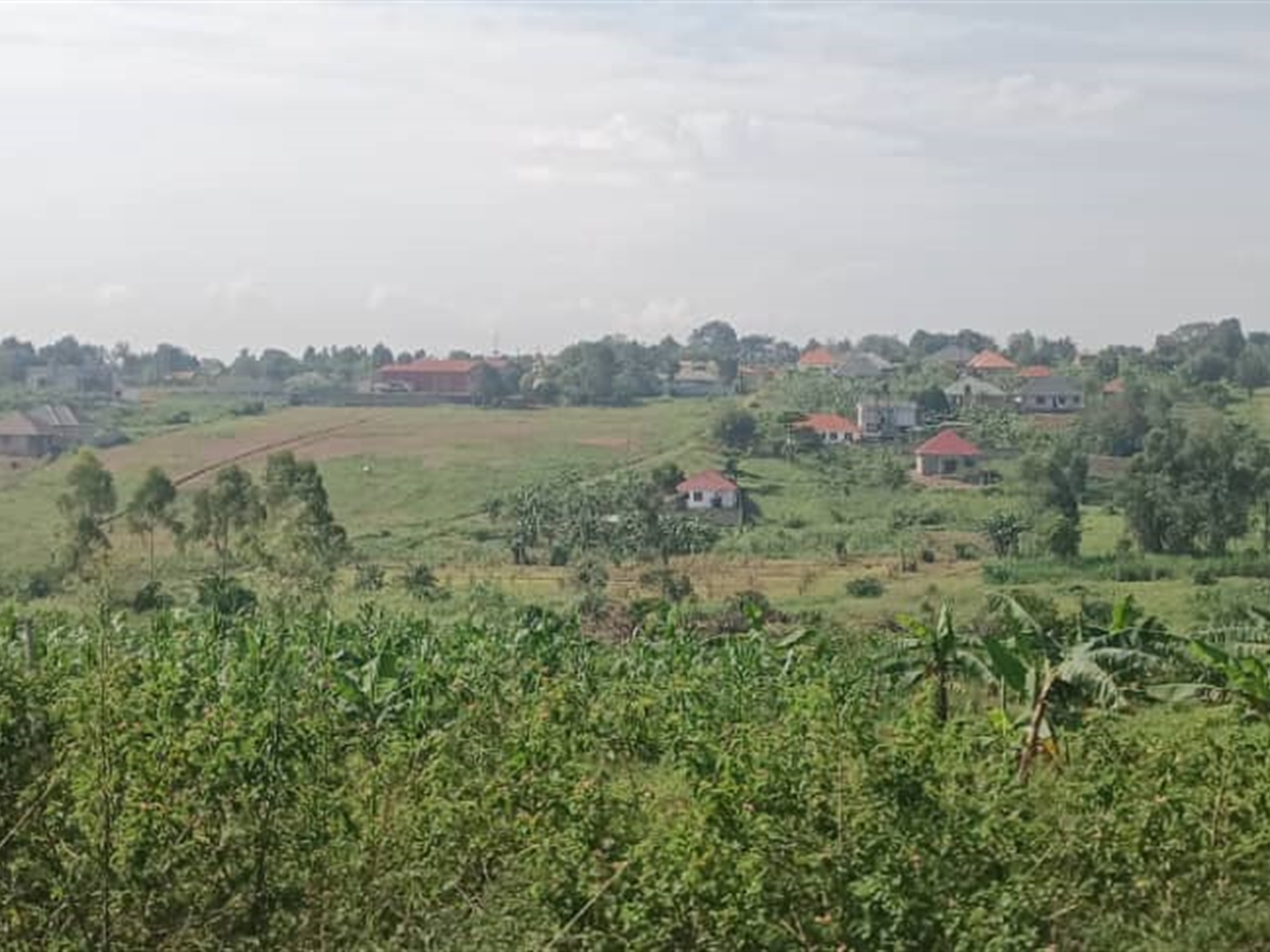 Residential Land for sale in Busukuma Wakiso