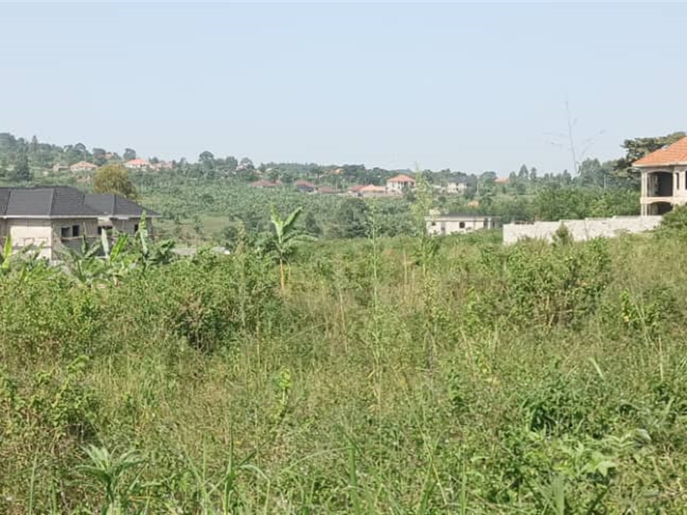 Residential Land for sale in Busukuma Wakiso