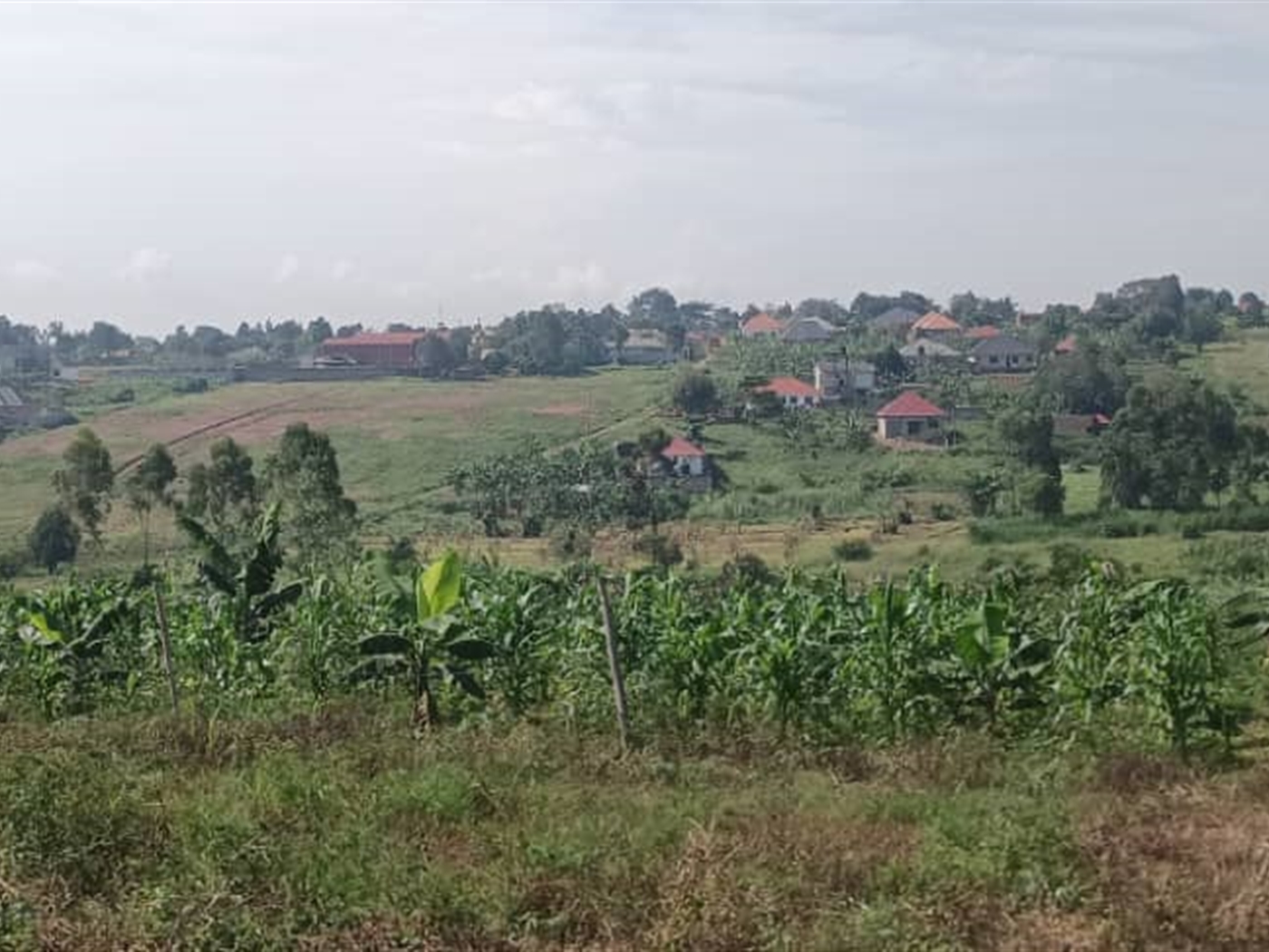 Residential Land for sale in Busukuma Wakiso