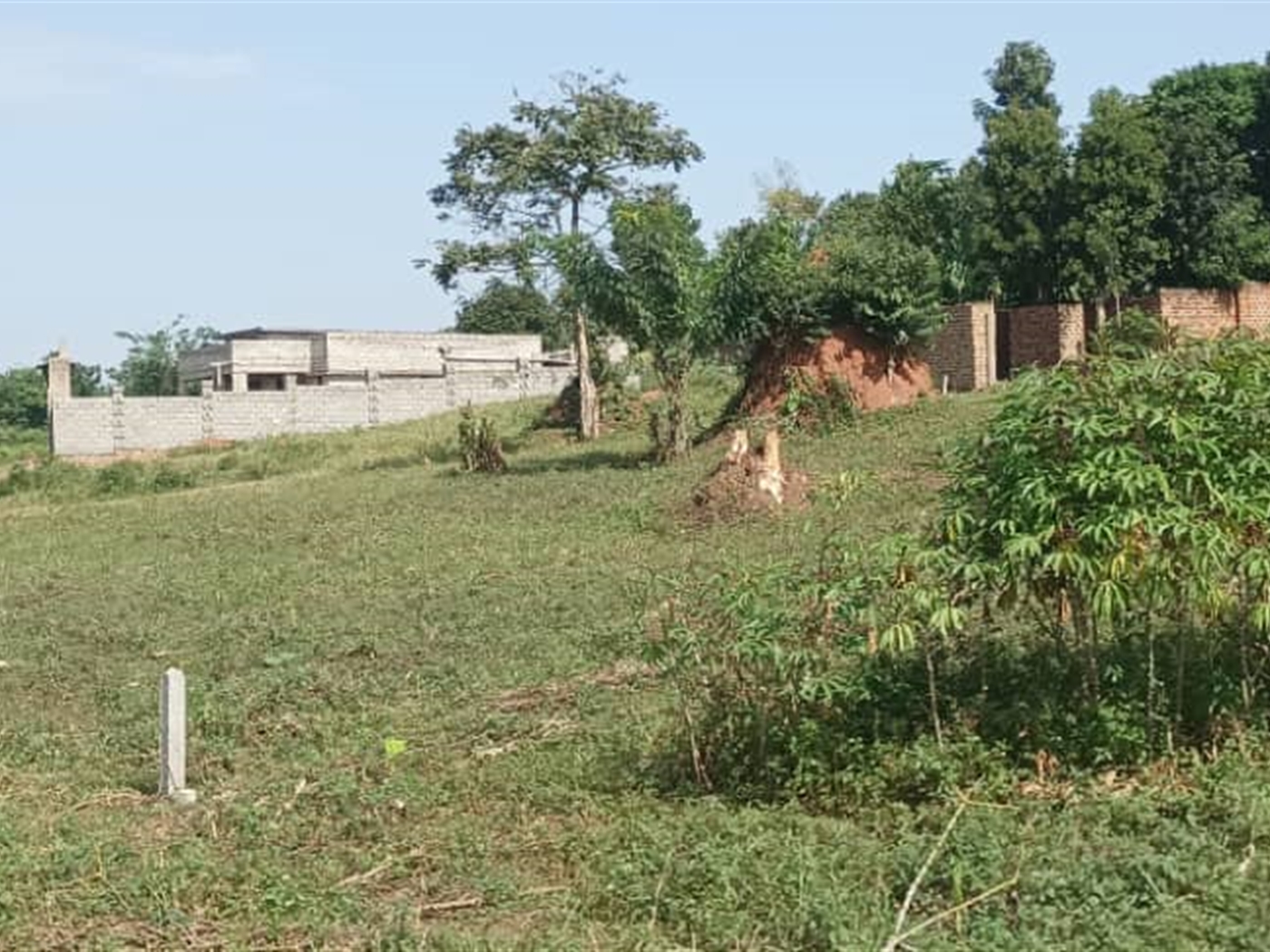 Residential Land for sale in Busukuma Wakiso