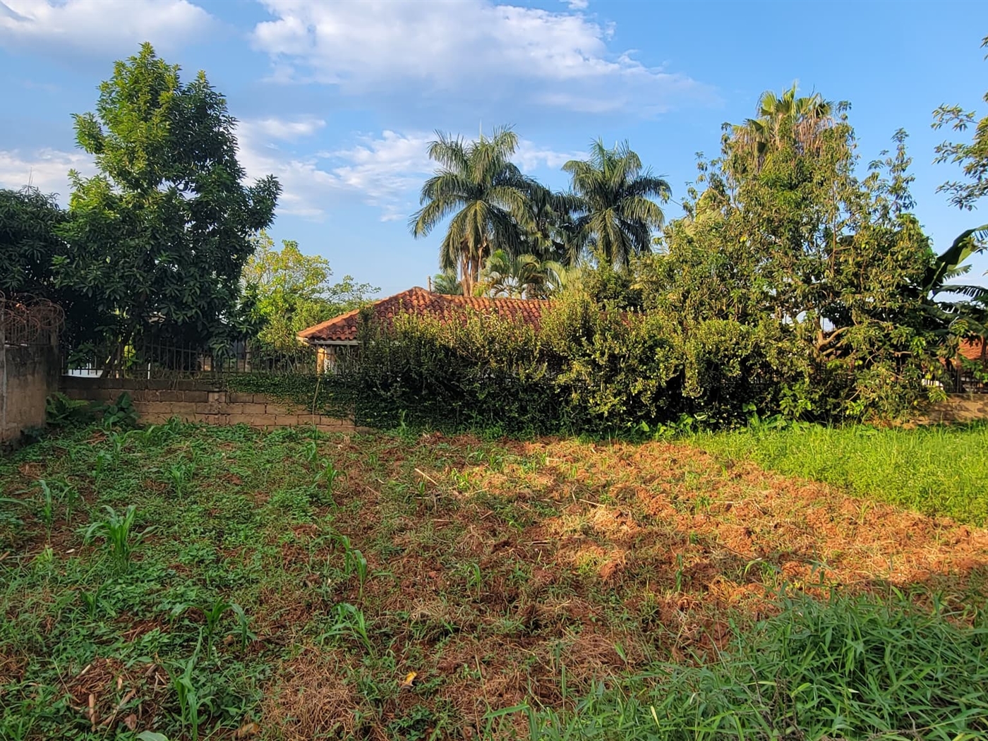 Residential Land for sale in Naalya Kampala