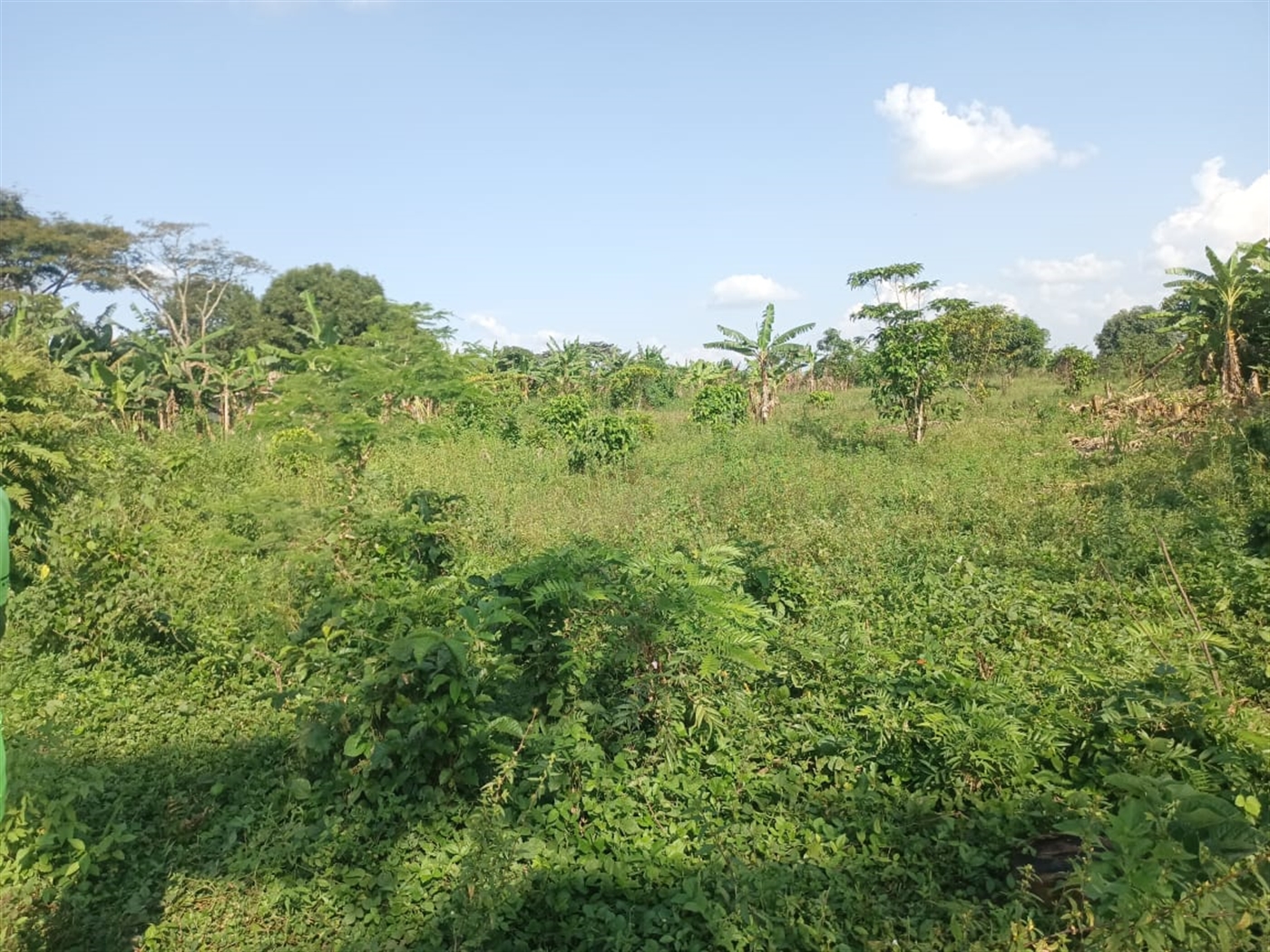 Residential Land for sale in Kiwenda Wakiso