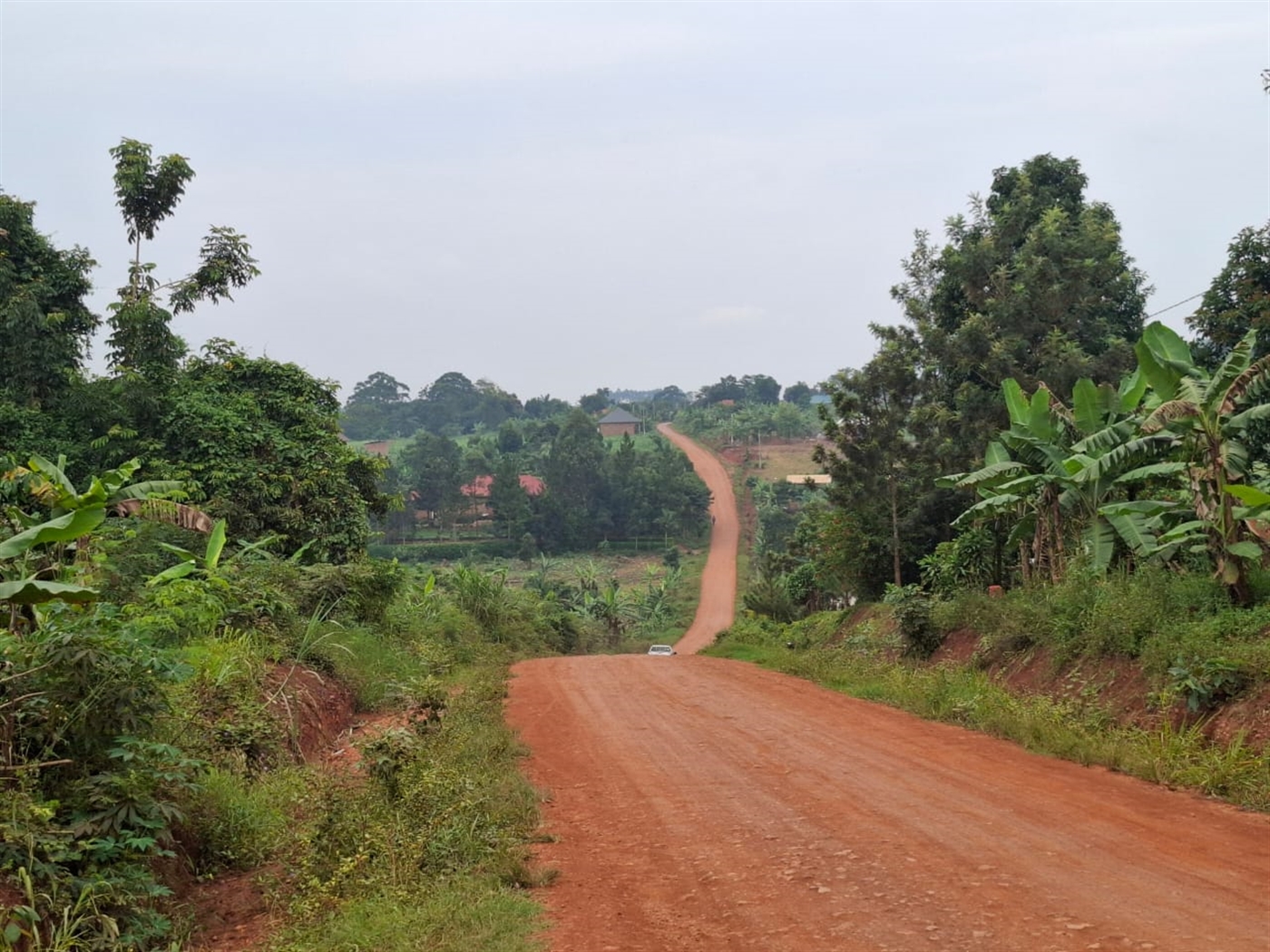 Residential Land for sale in Namulonge Wakiso