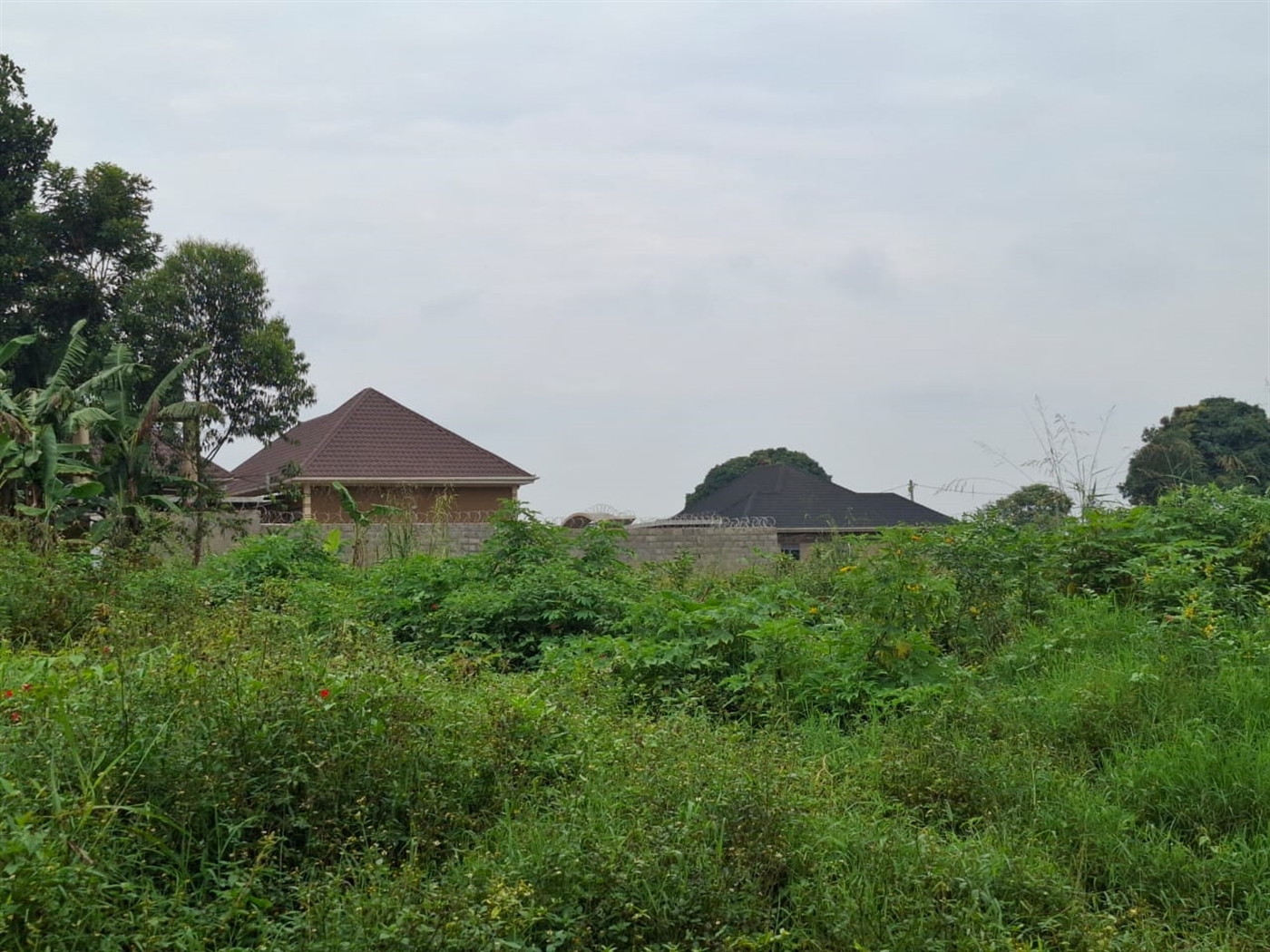 Residential Land for sale in Namulonge Wakiso