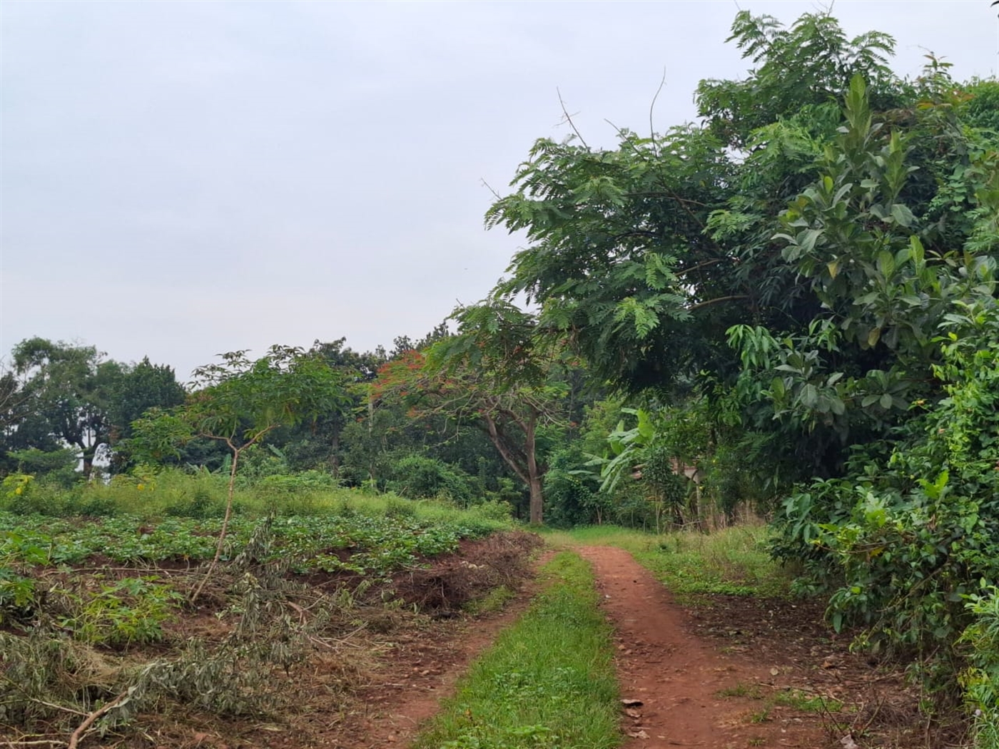 Residential Land for sale in Namulonge Wakiso