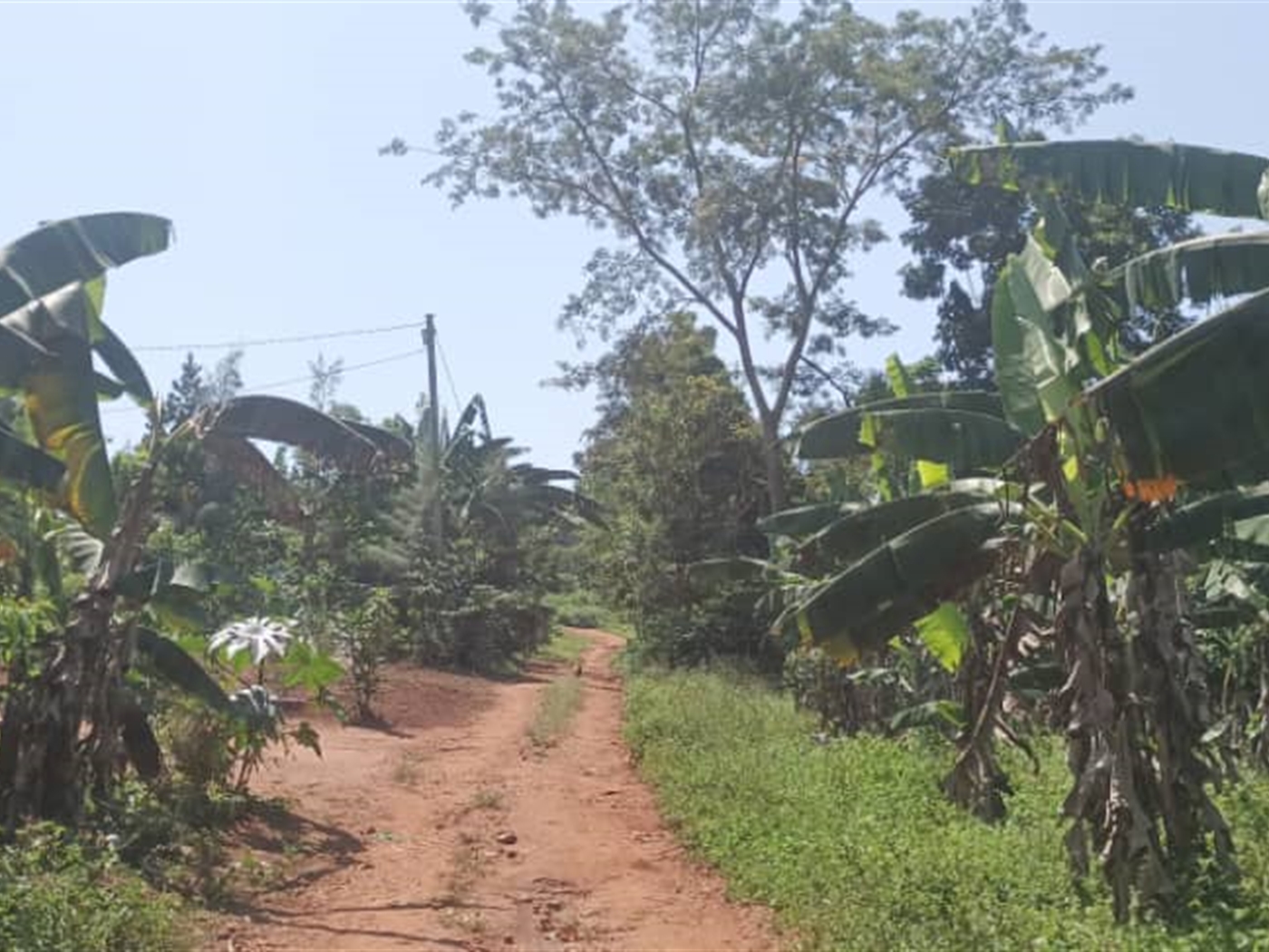 Residential Land for sale in Busukuma Wakiso