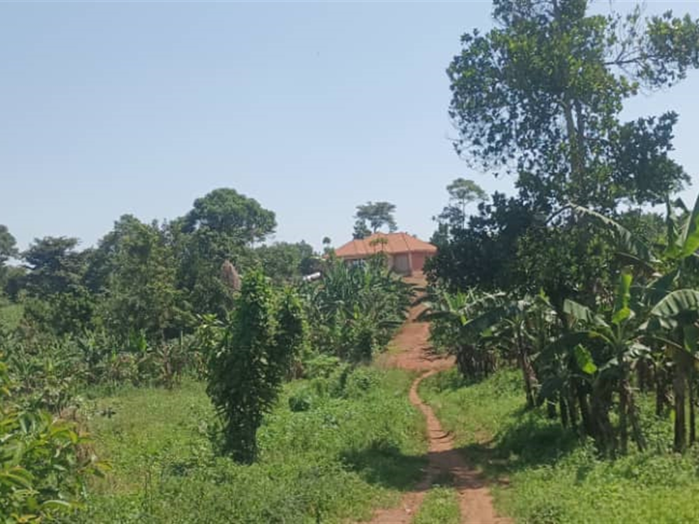 Residential Land for sale in Busukuma Wakiso