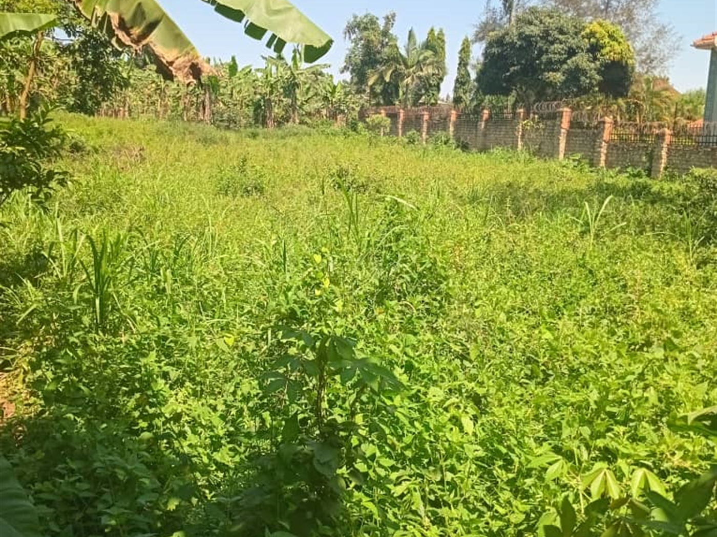 Residential Land for sale in Najjera Wakiso