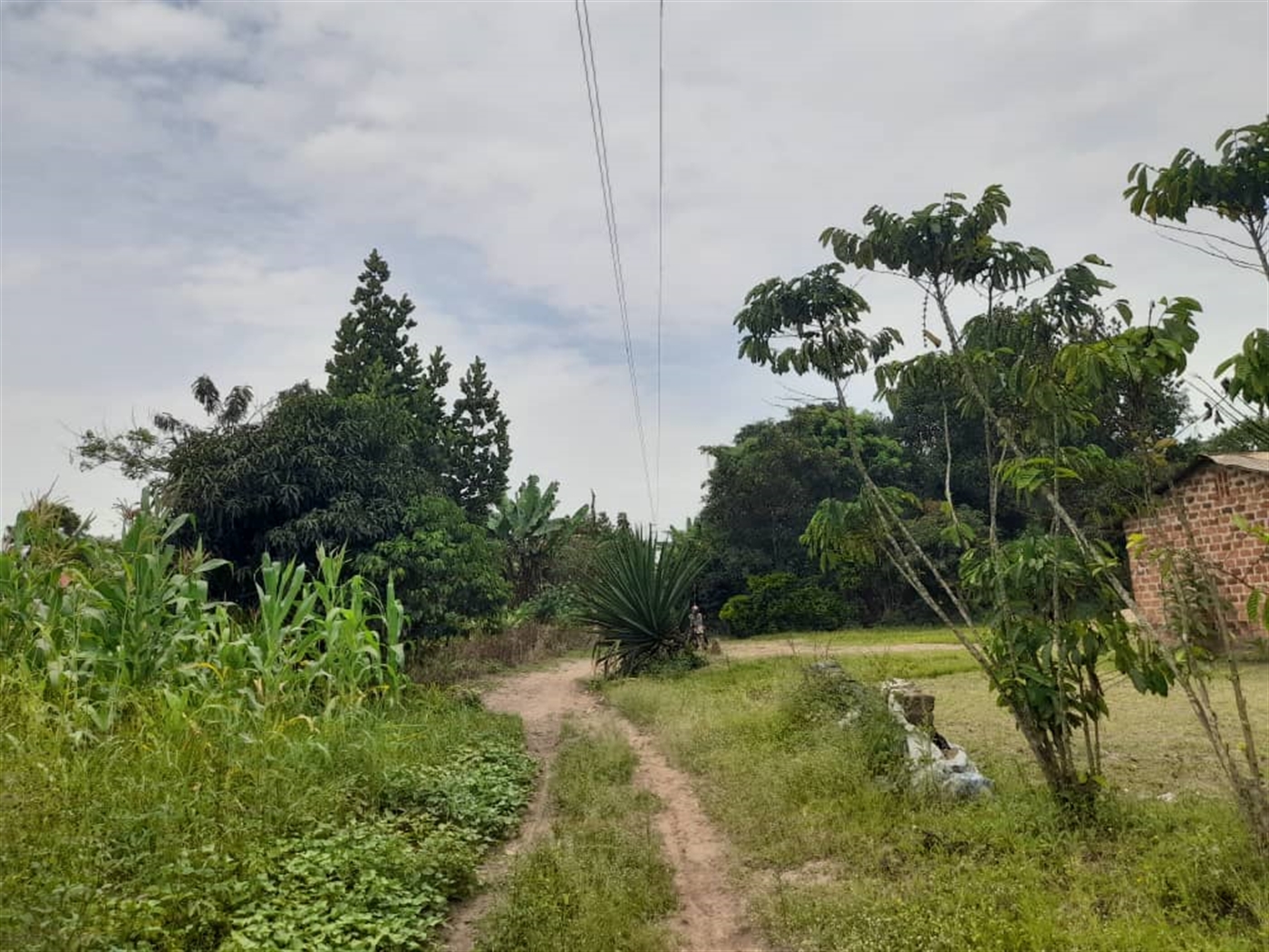 Residential Land for sale in Bombo Luweero