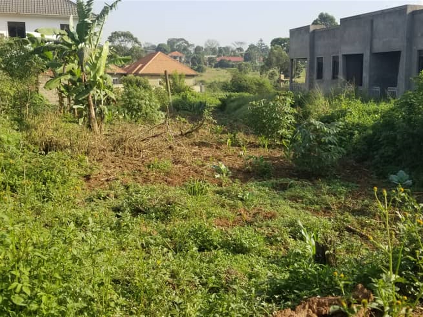 Residential Land for sale in Kyanja Kampala