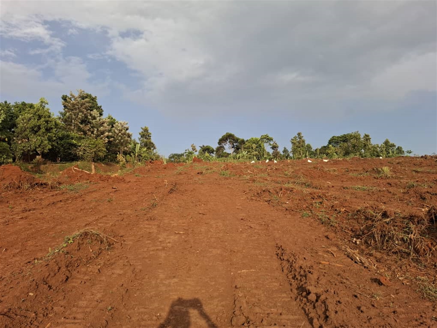 Residential Land for sale in Namulonge Wakiso