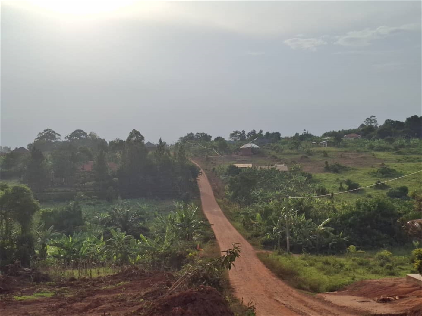 Residential Land for sale in Namulonge Wakiso