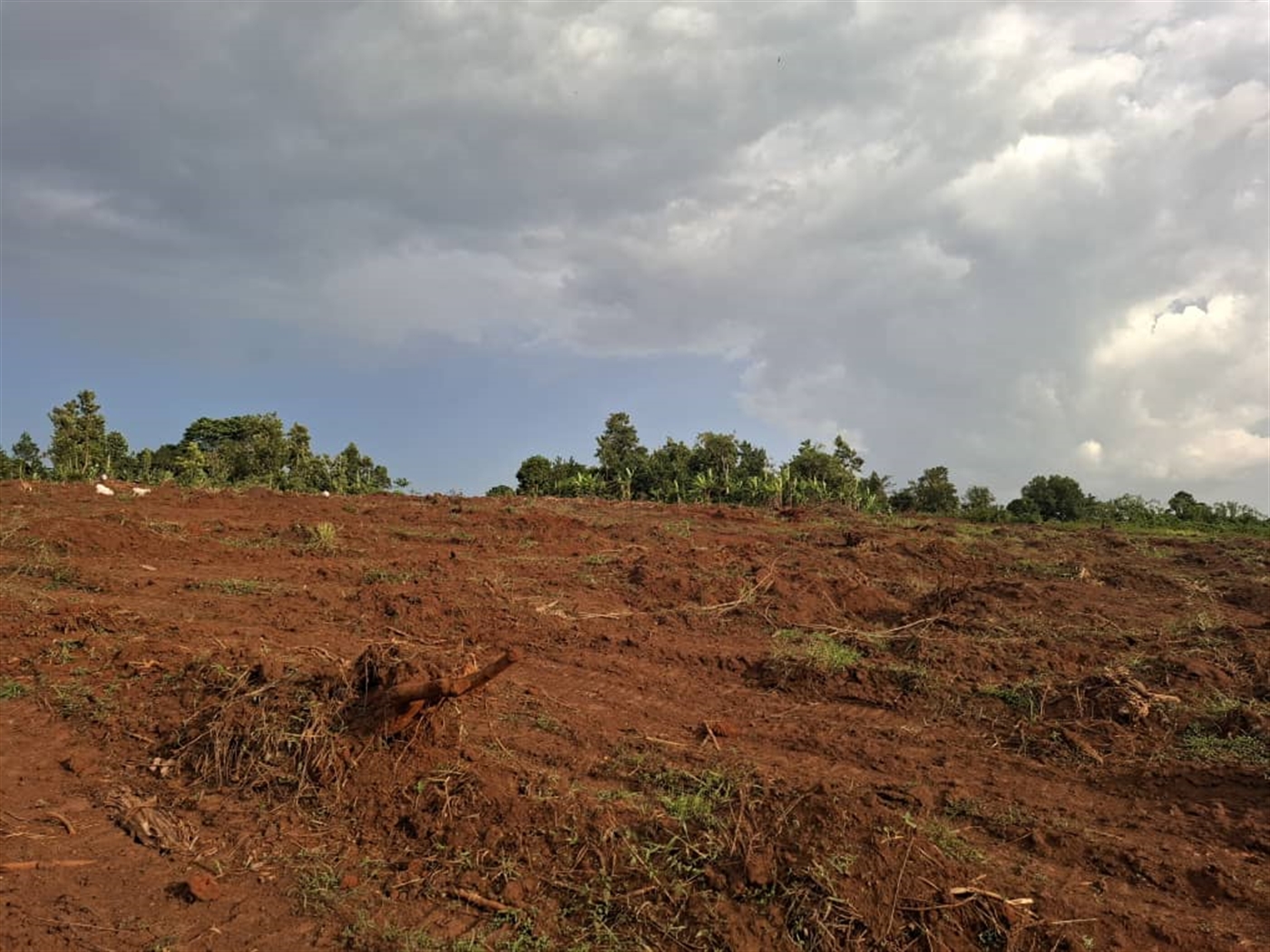 Residential Land for sale in Namulonge Wakiso