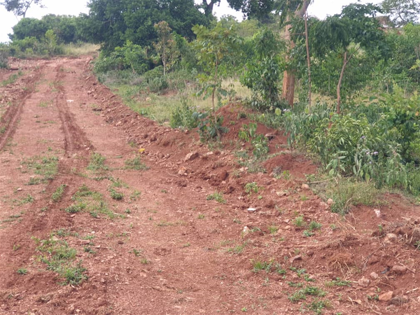 Residential Land for sale in Namulanda Wakiso