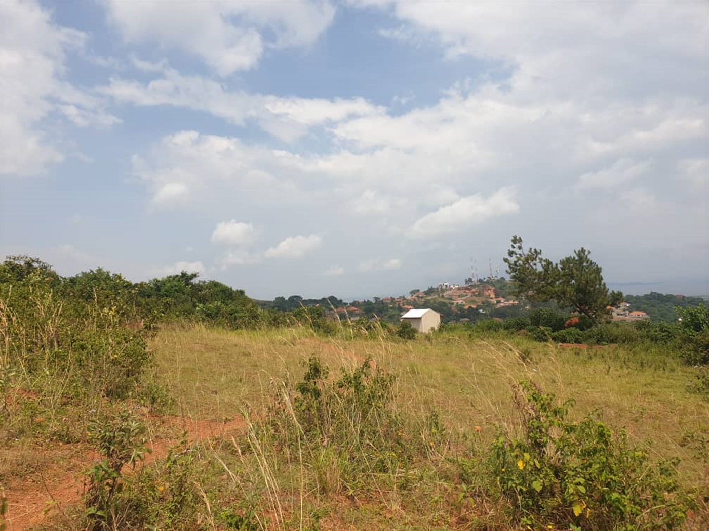 Residential Land for sale in Akright Wakiso