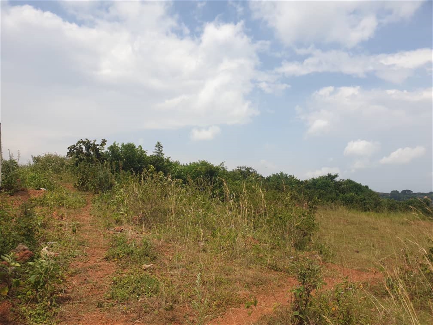 Residential Land for sale in Akright Wakiso