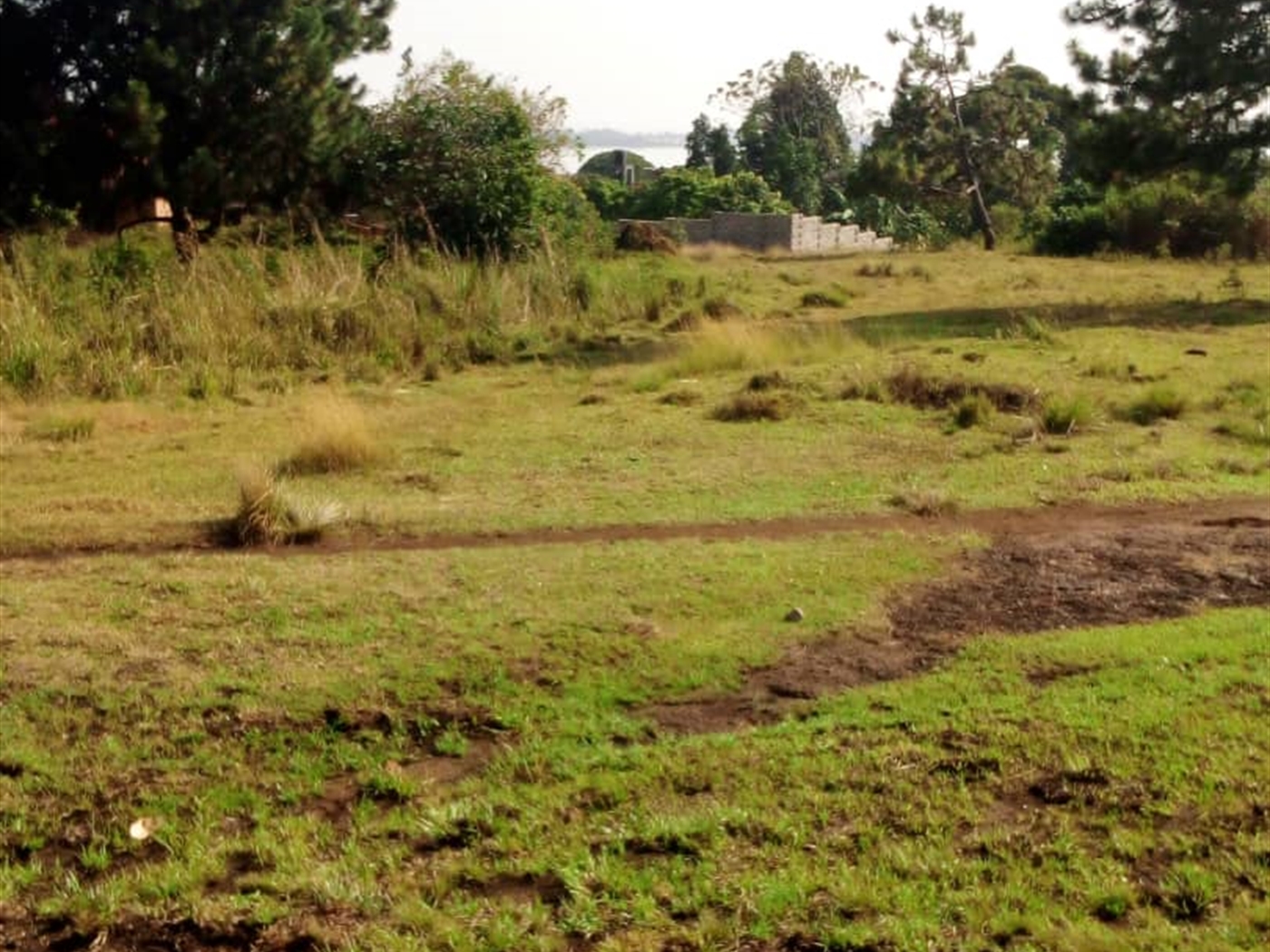 Residential Land for sale in Kawuku Wakiso