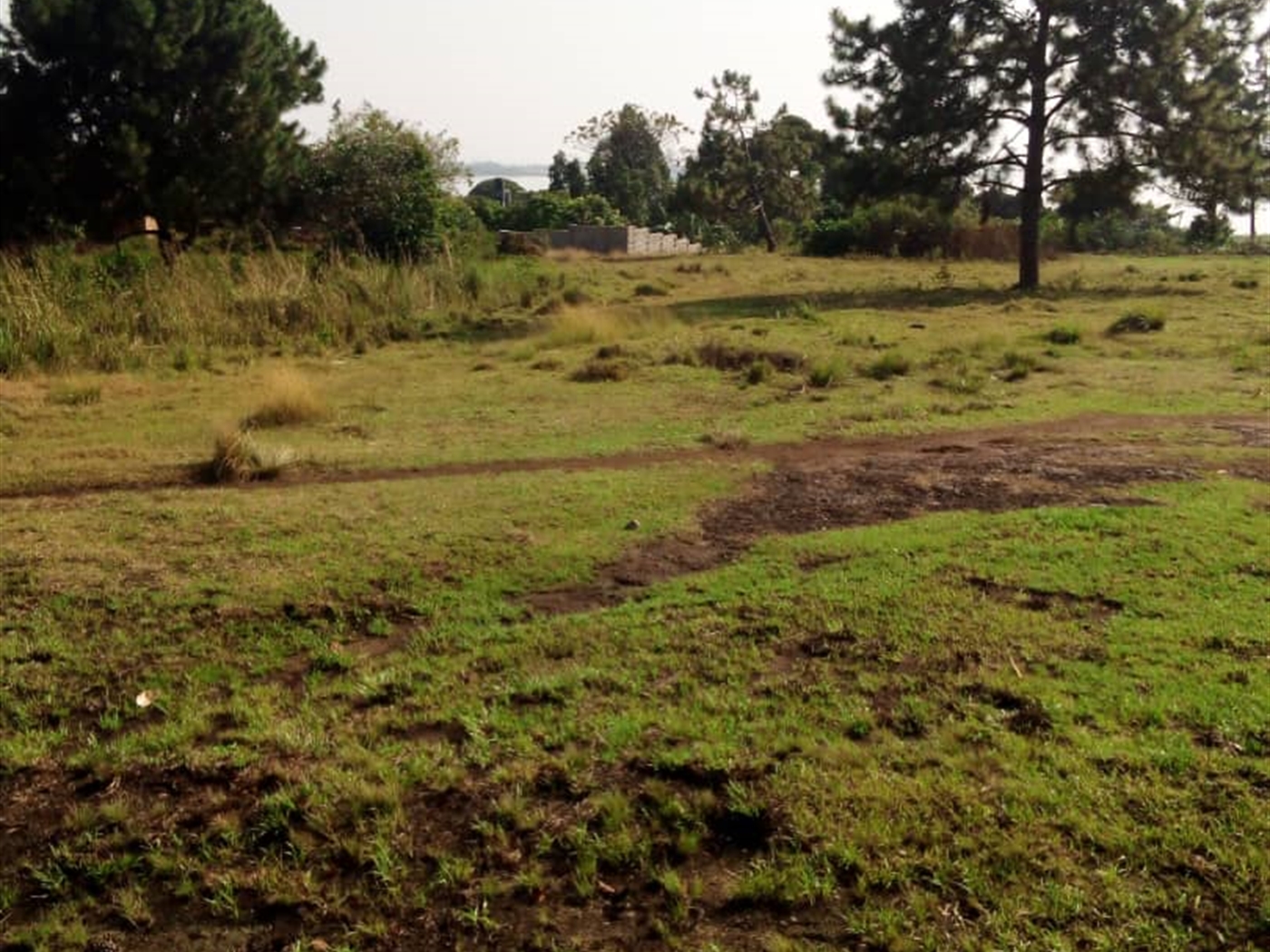 Residential Land for sale in Kawuku Wakiso