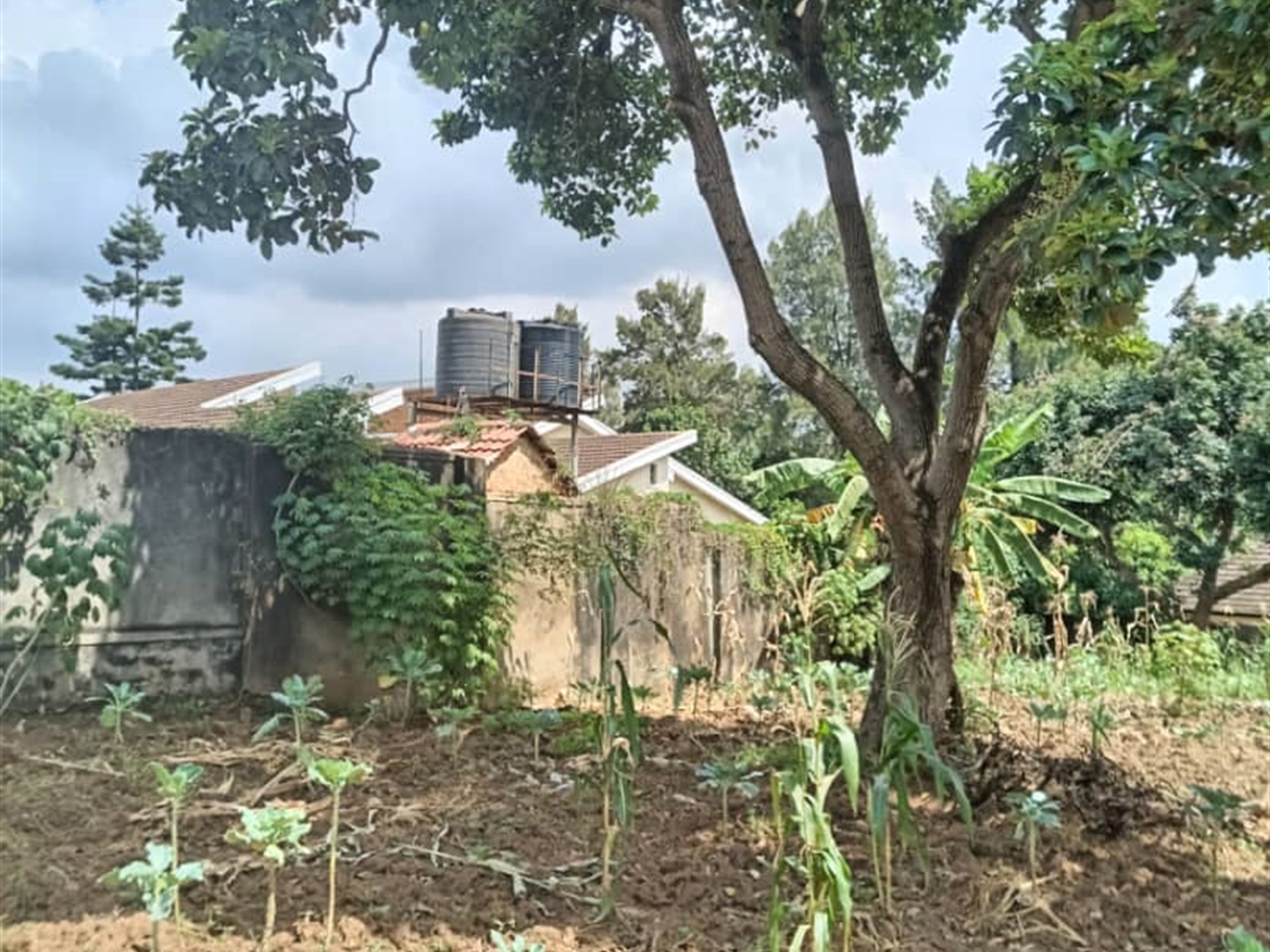 Residential Land for sale in Mutungo Kampala